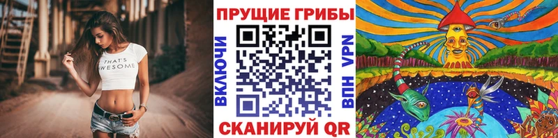 Псилоцибиновые грибы мухоморы  сайты даркнета наркотические препараты  Бирюсинск  дарнет шоп 